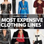 Most Expensive Red Carpet Rentals: Why Celebs Pay $500K to Borrow a Dress