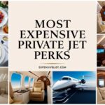 Most Expensive Safari Lodges: $50K/Night Treehouses with Wild Elephant Butlers