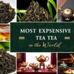 Most Expensive Robot Butlers: $2M Humanoid Servants for Mega-Mansions