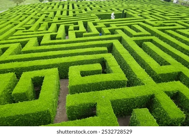 The Emerald Hedge Maze
