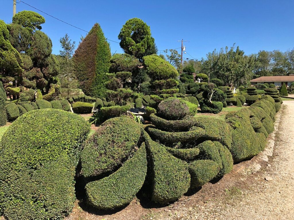 The Jurassic Topiary by Pearl Fryer